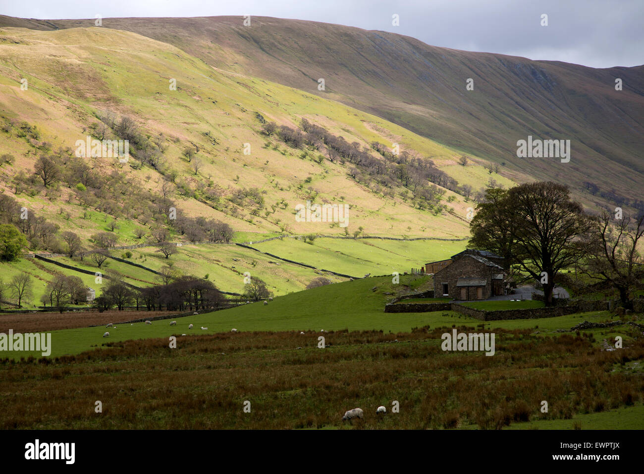 Martindale valley, Ullswater, Lake District national park, Cumbria, England, UK Stock Photo Alamy