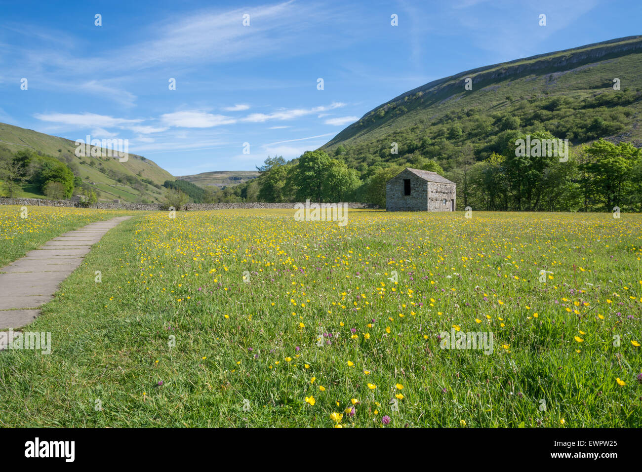 Muker barn and Hay meadows in Swaledale in the Yorkshire Dales Stock Photo
