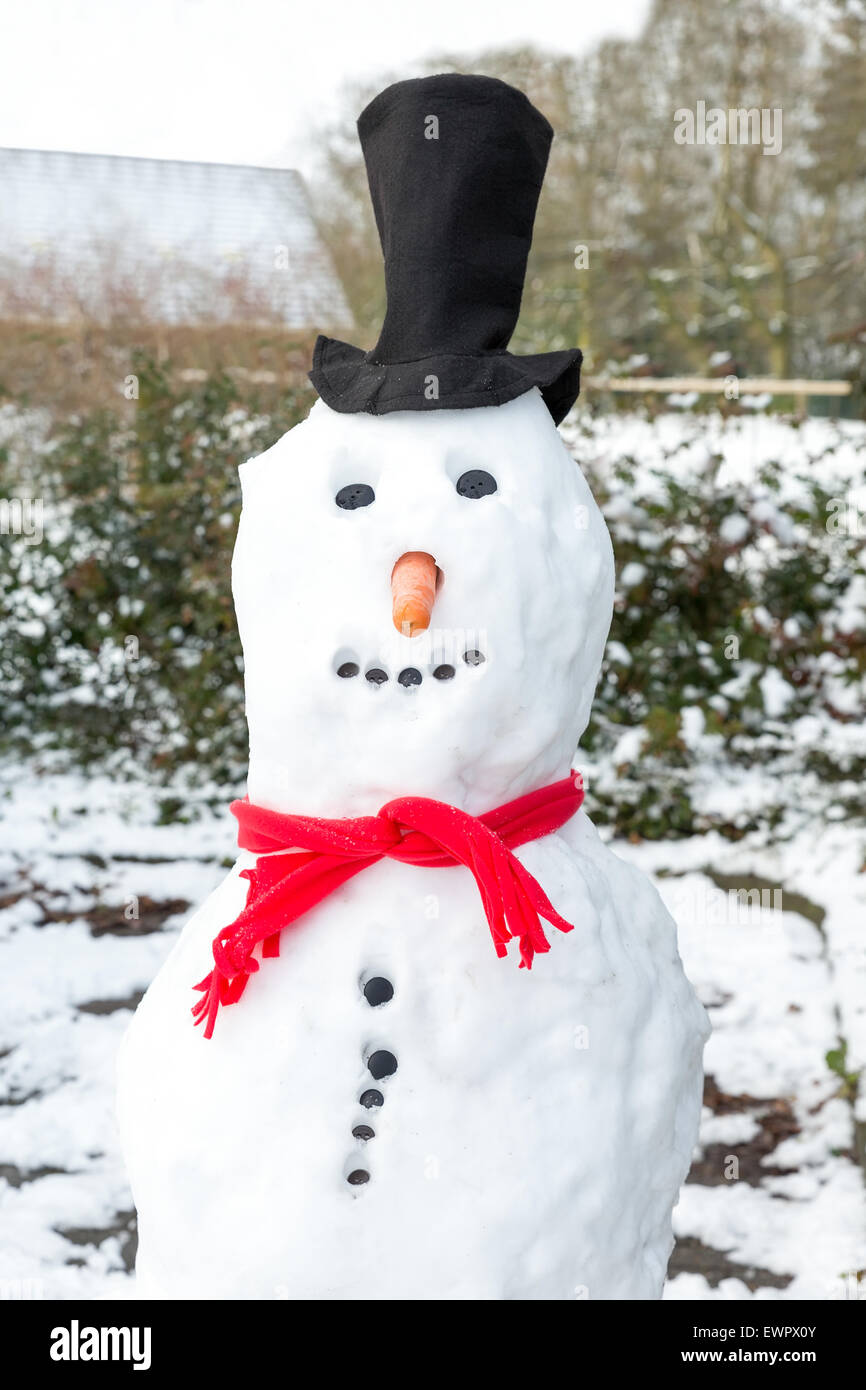 Snowman wearing black hat red shawl buttons and orange carrot in winter season Stock Photo