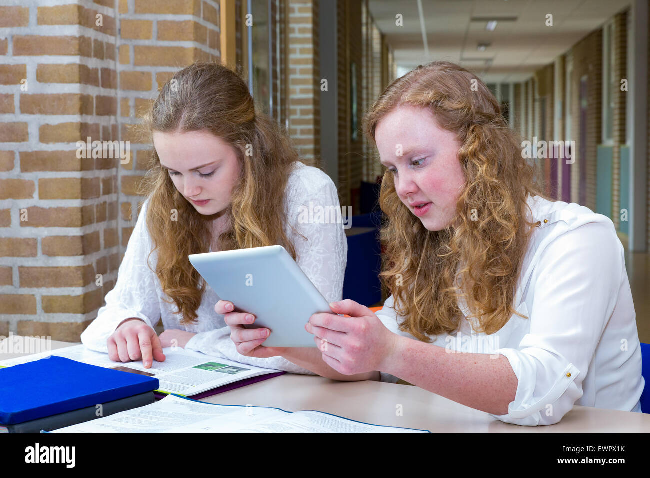 Two caucasian teenage friends studying in long corridor of school building Stock Photo