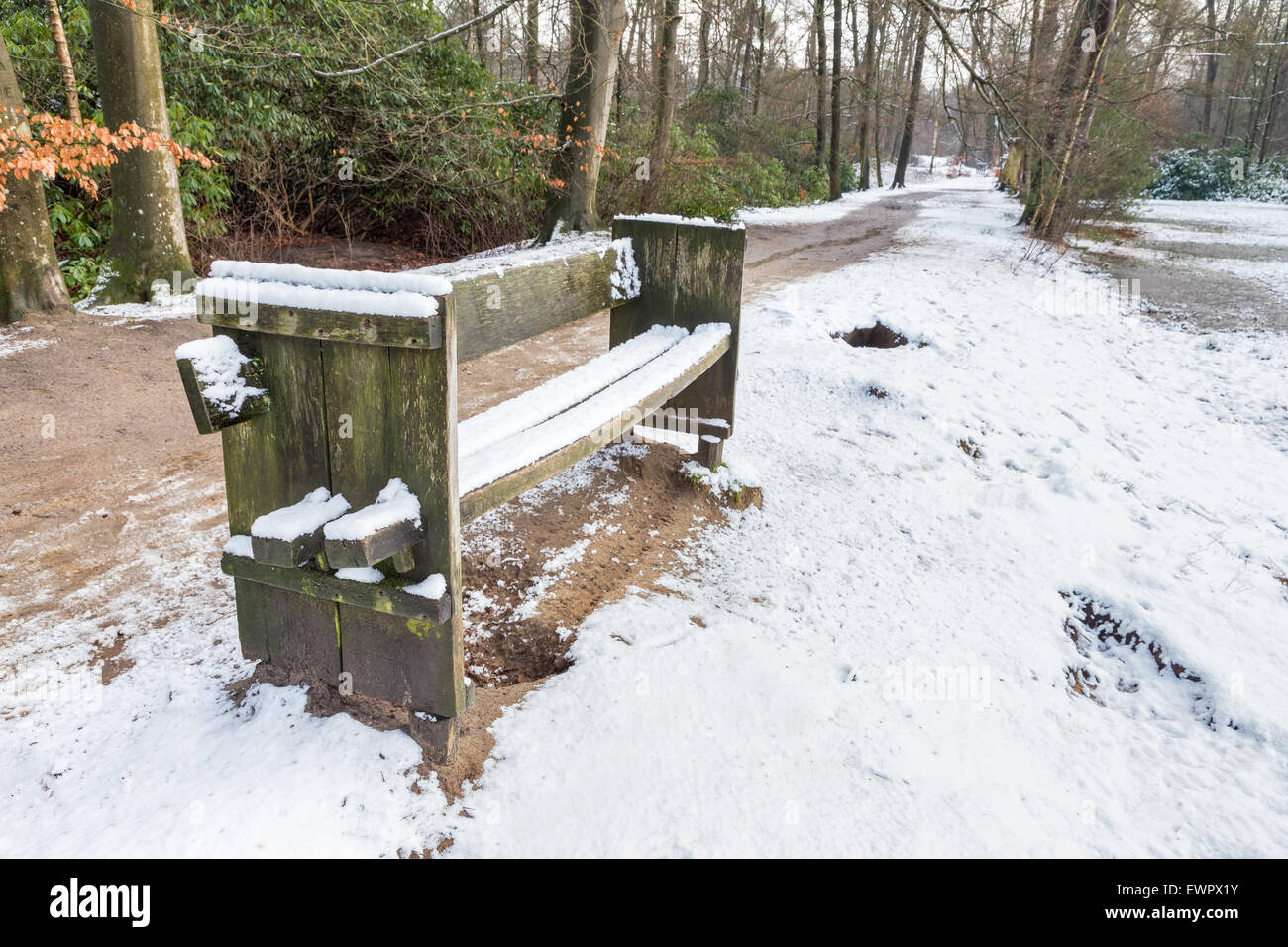 Wooden bench in forest along footpath with snow in winter season Stock Photo
