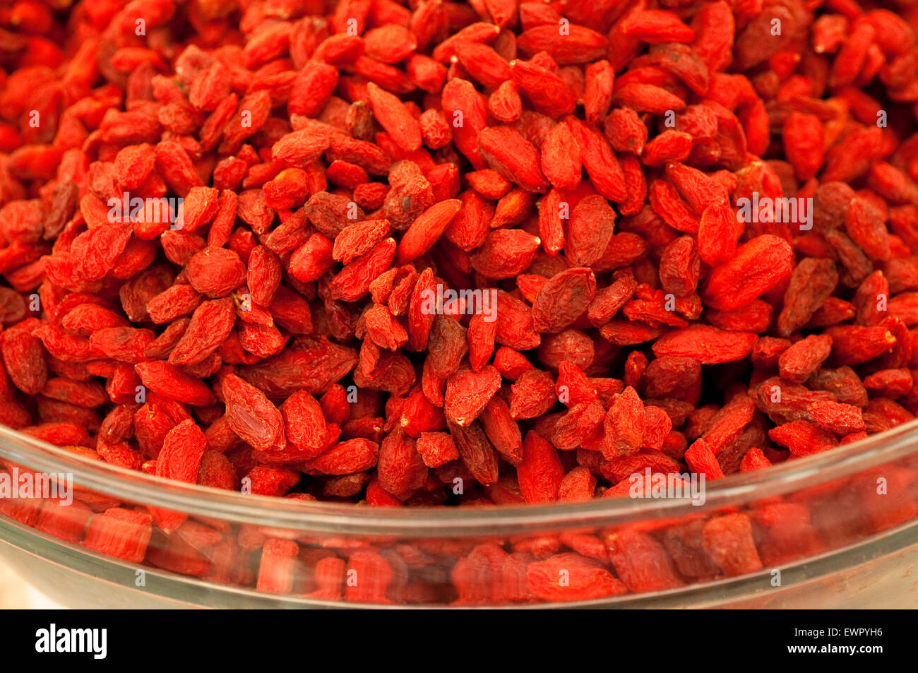 Goji berries,  Lycium Barbarum. Stock Photo