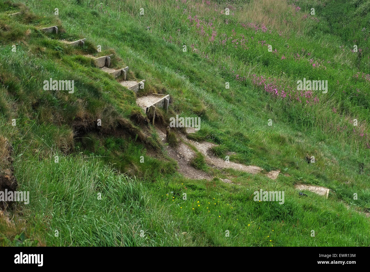 wooden steps down steep incline eroding away. Stock Photo