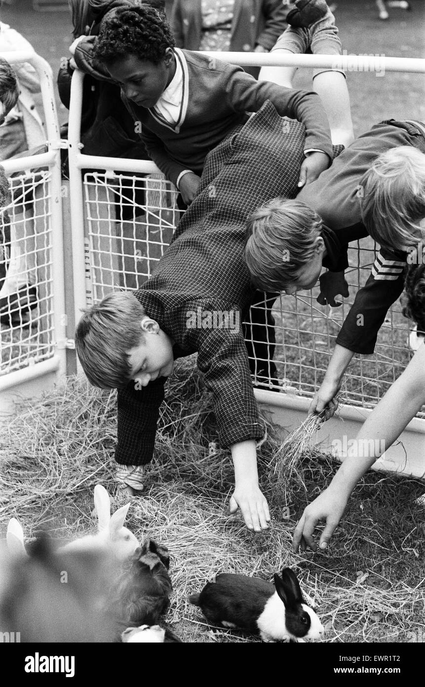 The first travelling Pets Corner opens at Finsbury Park. It is organised by the Greater London Council Parks Department to provide 'pet visitors' in areas where young people living in flats are barred from keeping animals of their own. Children leaning in Stock Photo