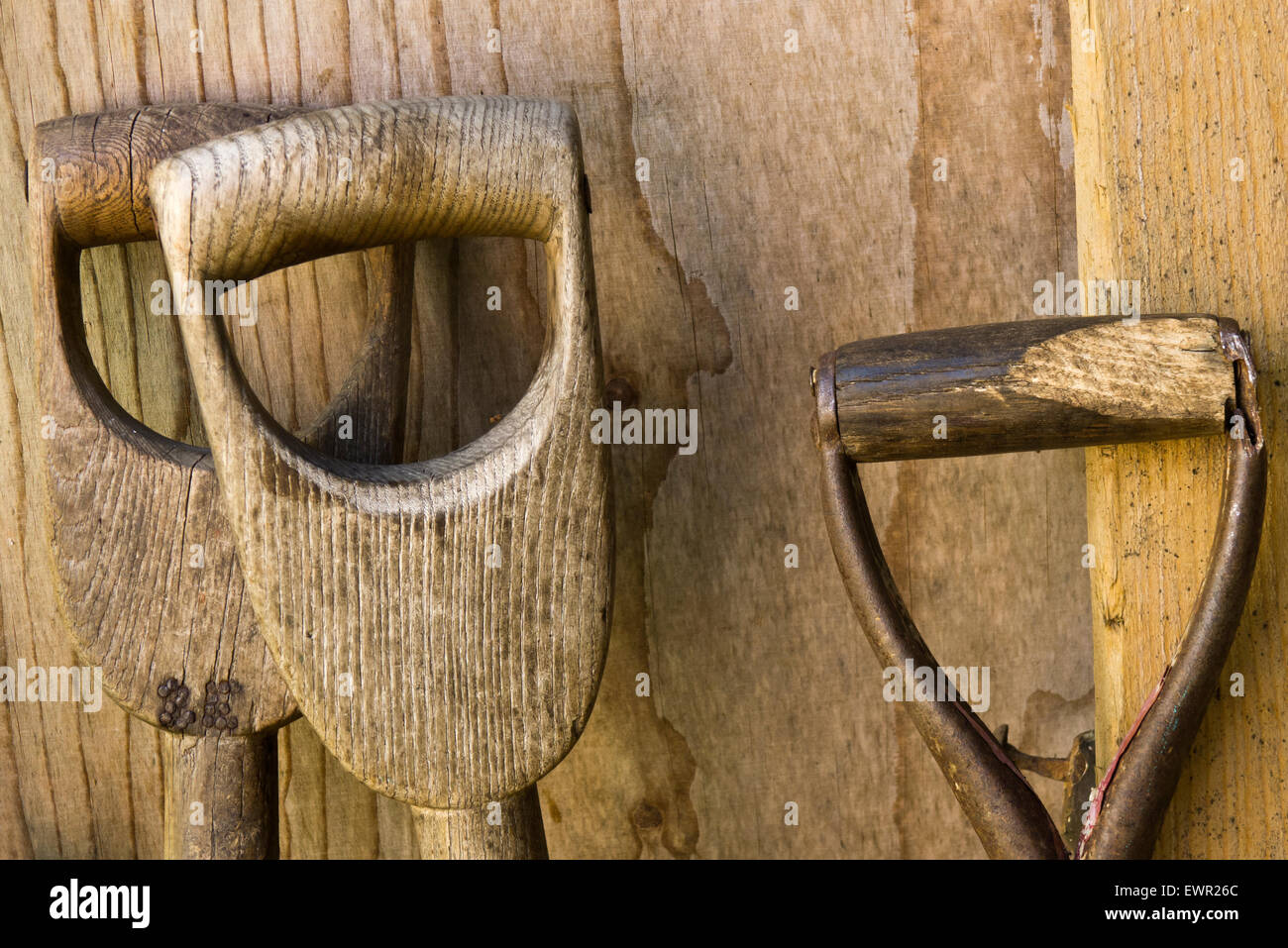 Wooden handles of garden tools Stock Photo Alamy