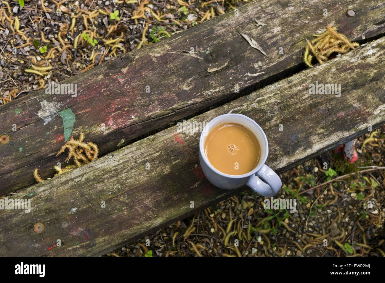 Mug of tea on a wooden garden bench. Stock Photo