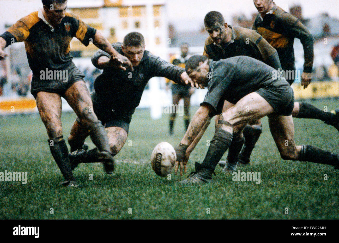 Newport v Neath. (Left to right) Newport's David Llewellyn with Neath's  Andrew Thomas and Brian Williams diving for the ball. 30 December 1990  Stock Photo - Alamy