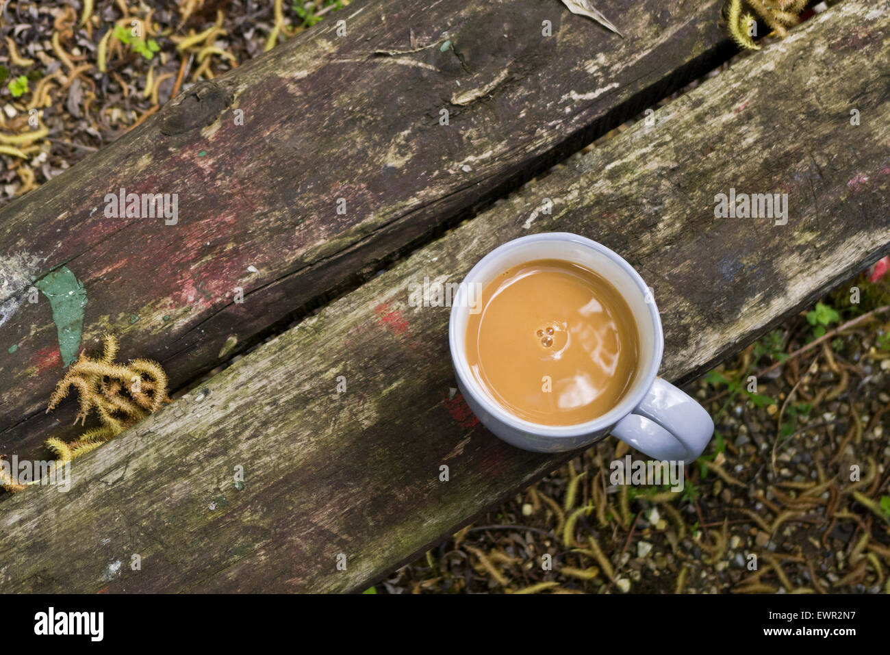 Mug of tea on a wooden garden bench. Stock Photo