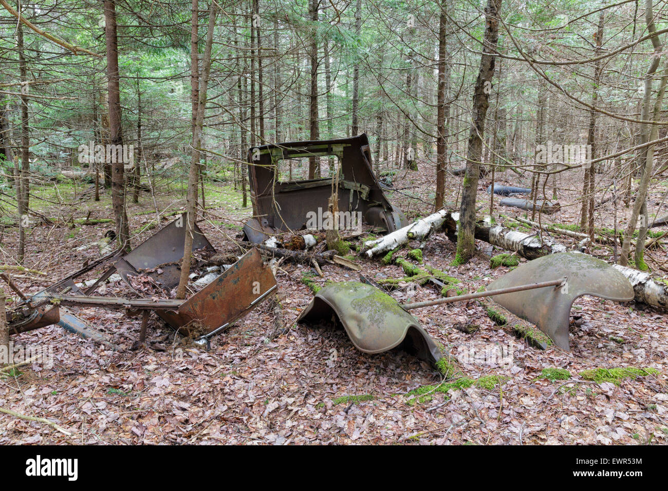 Abandoned car in forest hi-res stock photography and images - Alamy