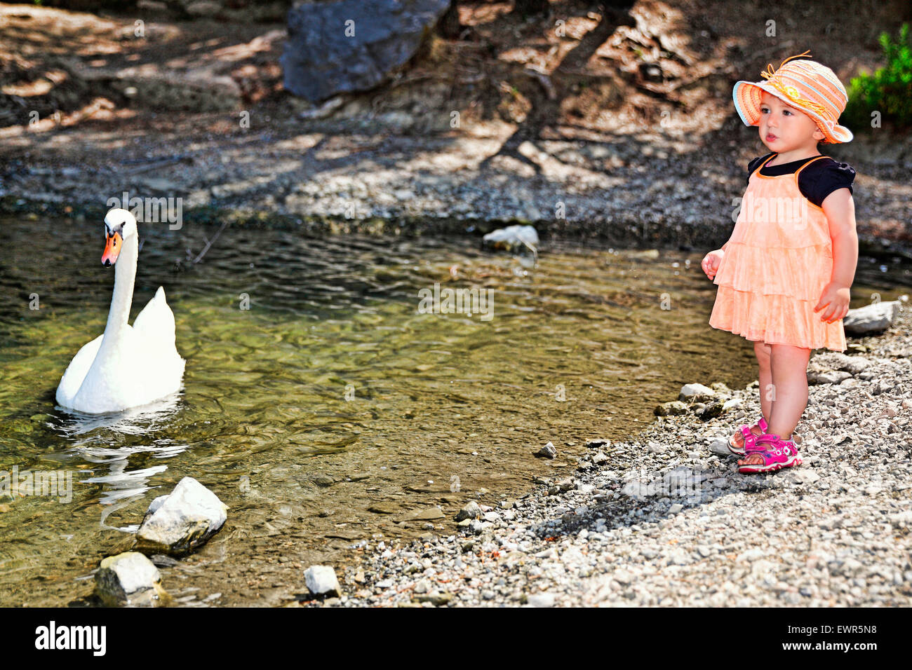 A pretty little girl with hat having fun with a swan Stock Photo