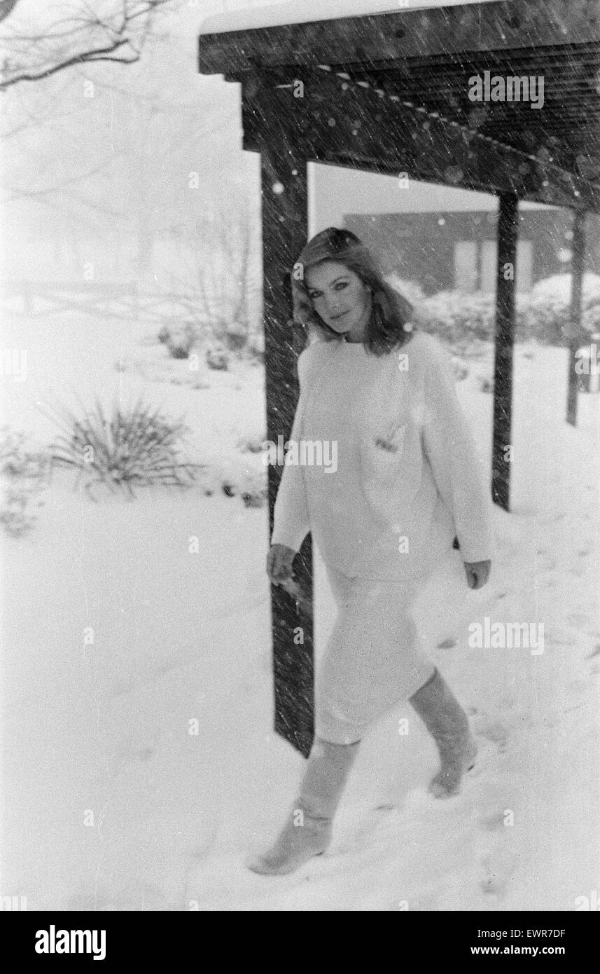 Priscilla Presley, Chairwoman of Elvis Presley Enterprises, pictured at Graceland Mansion, Memphis, Tennessee, USA, walking from the Raquet Ball Court to the Main House, 4th January 1985. Stock Photo
