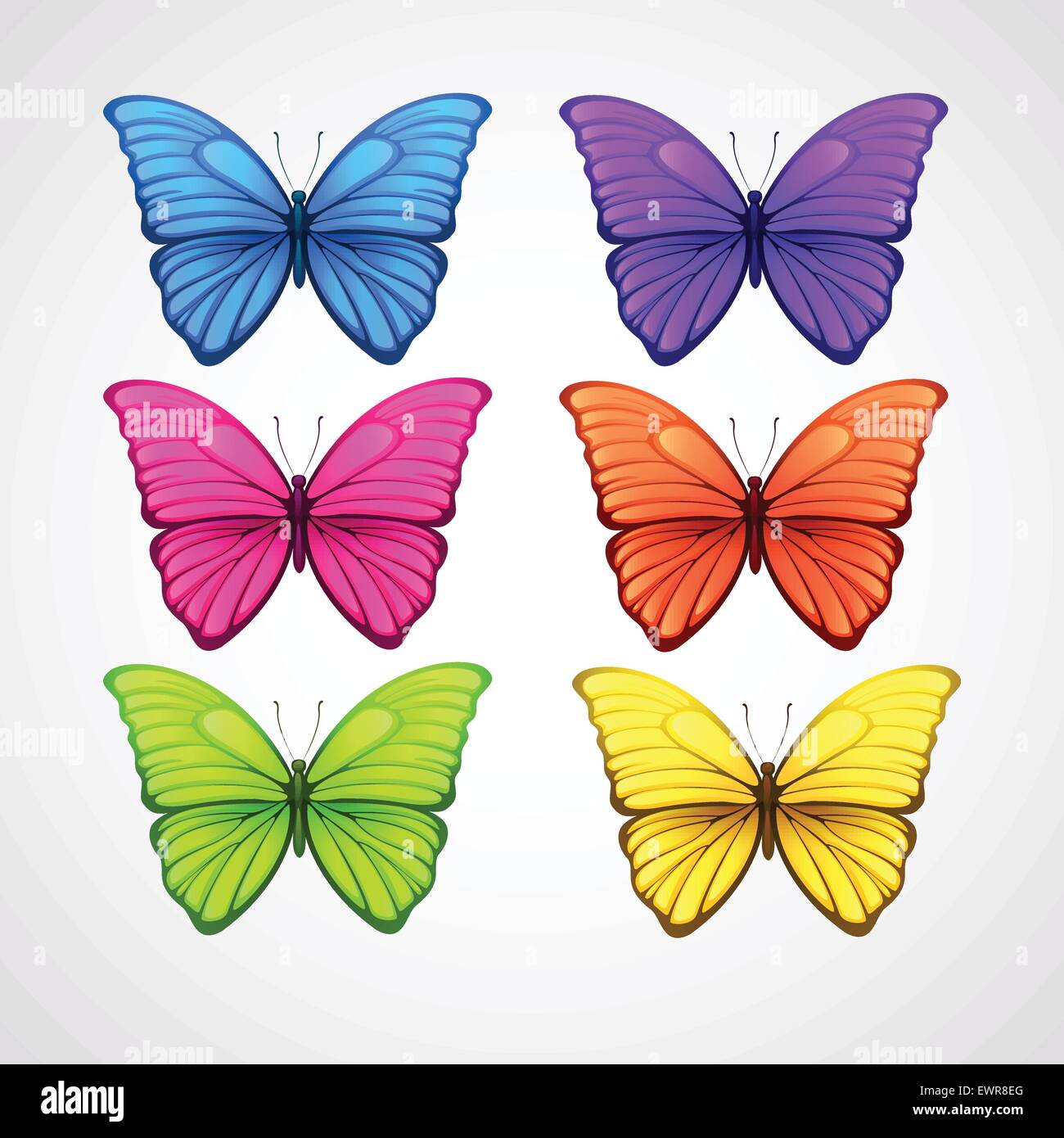 Collection of color butterfly vector icons. Vector illustration Stock ...