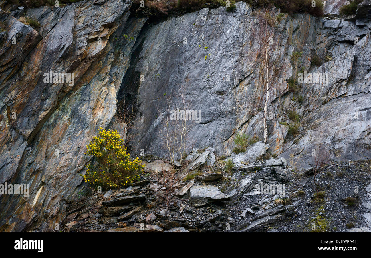 https://c8.alamy.com/comp/EWRA4E/the-ballachulish-slate-quarry-EWRA4E.jpg