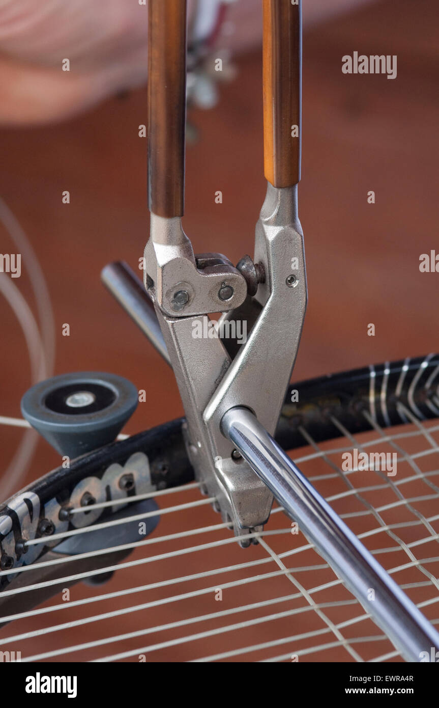 Tennis Racket in Stringing Machine Being Repaired Stock Photo Alamy