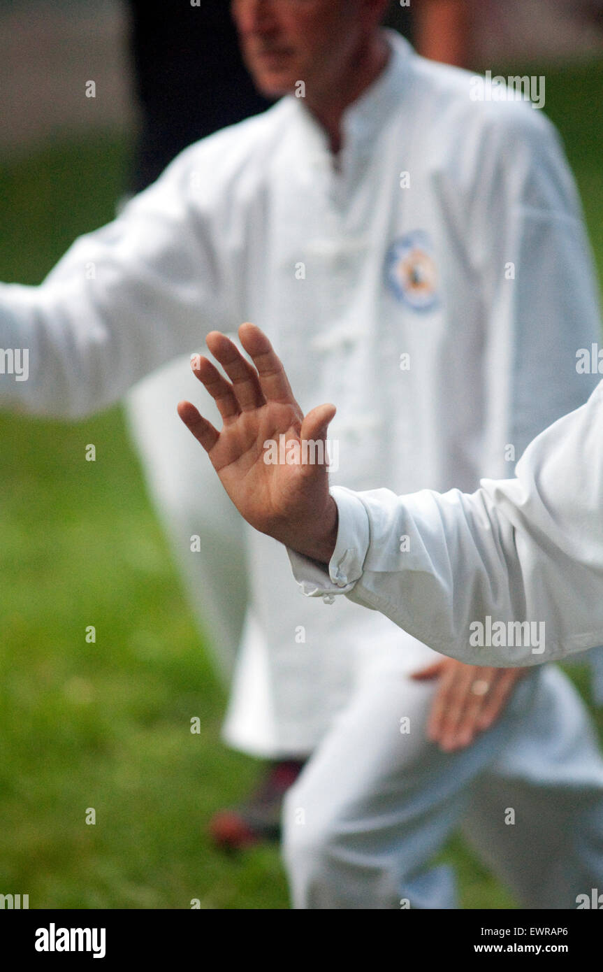 Tai Chi Martial Art Stock Photo Alamy