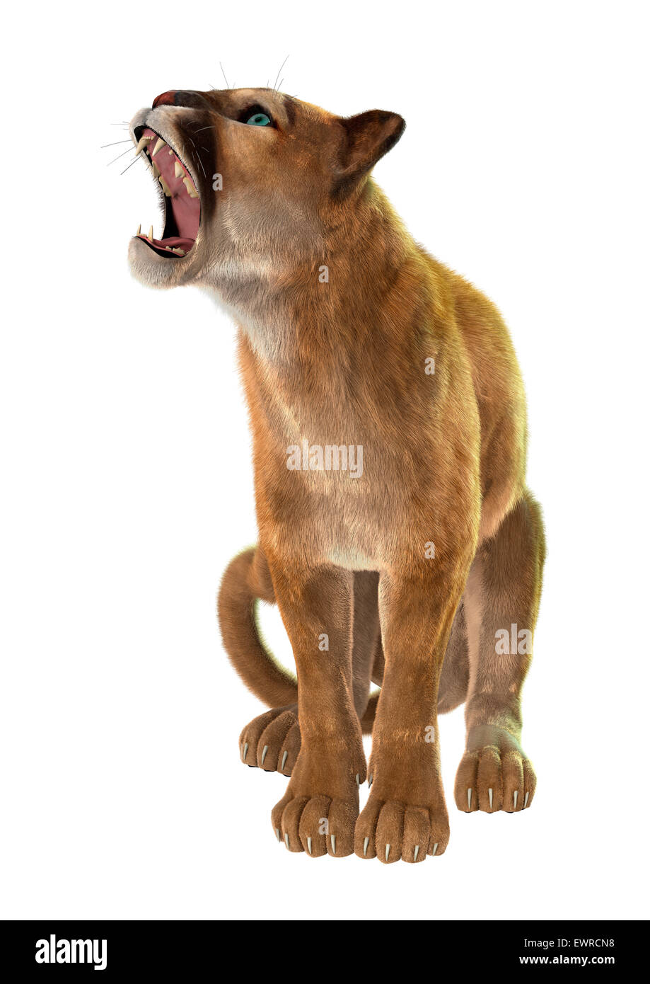 3D digital render of a big puma isolated on white background Photo - Alamy