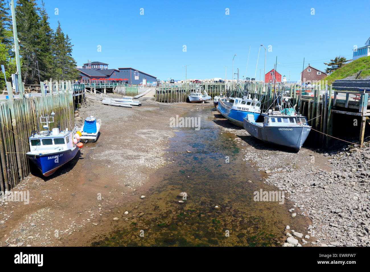 1.497 fotos de stock e banco de imagens de Bay Of Fundy Canada