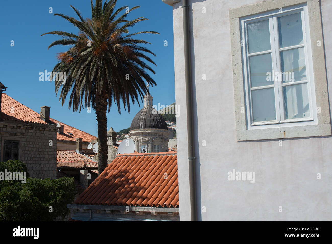 buildings, rooftops & palm tree with cathedral-treasury tower in old city of dubrovnik, croatia Stock Photo