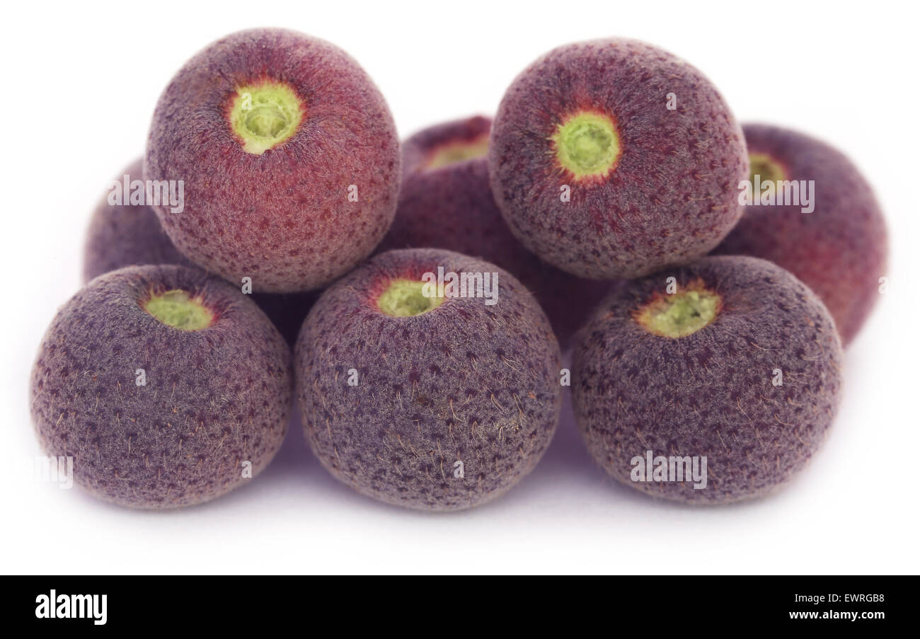Grewia asiatica or Falsa fruits of Southeast Asia over white background