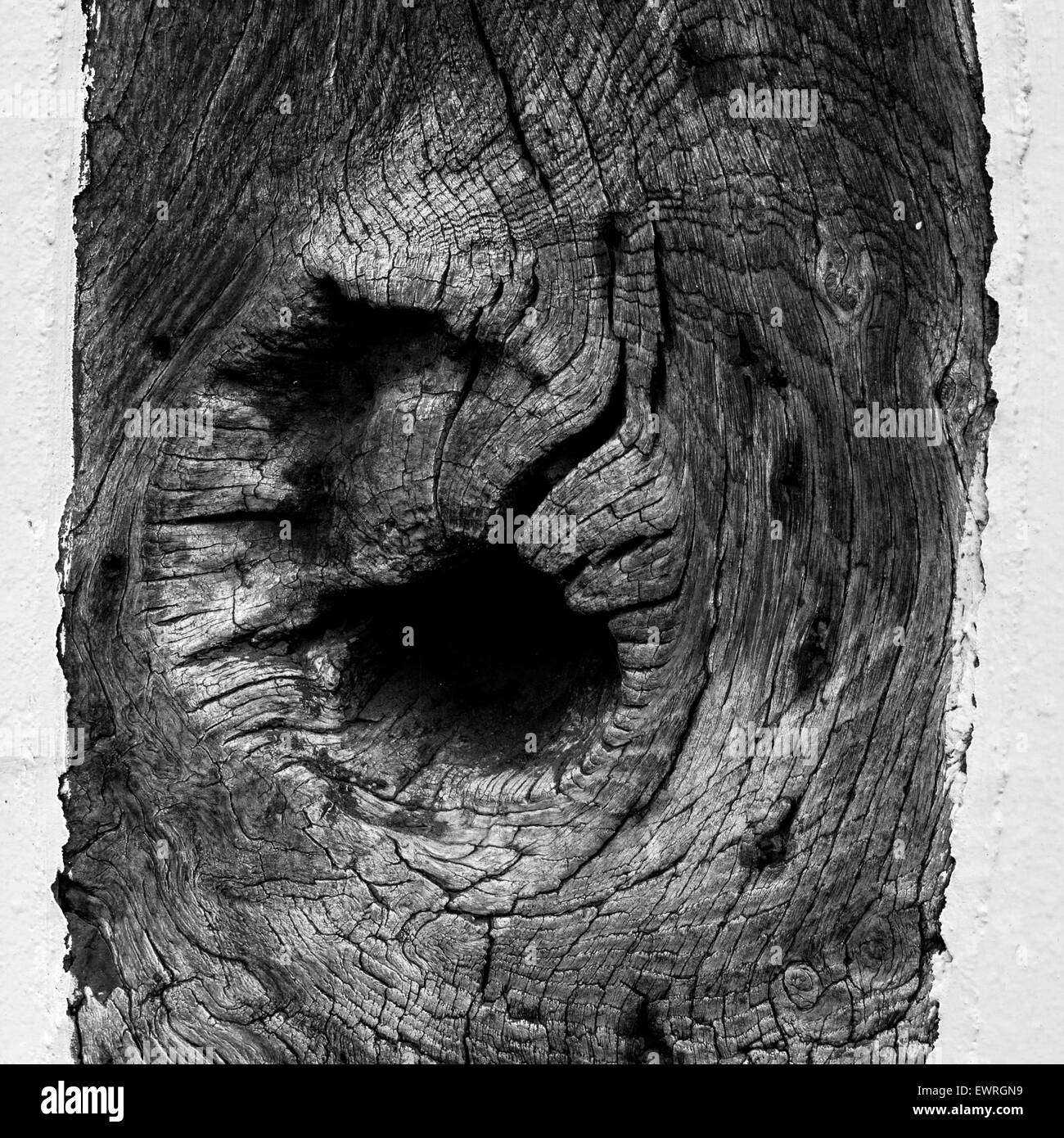 A knot in an old timber Stock Photo Alamy
