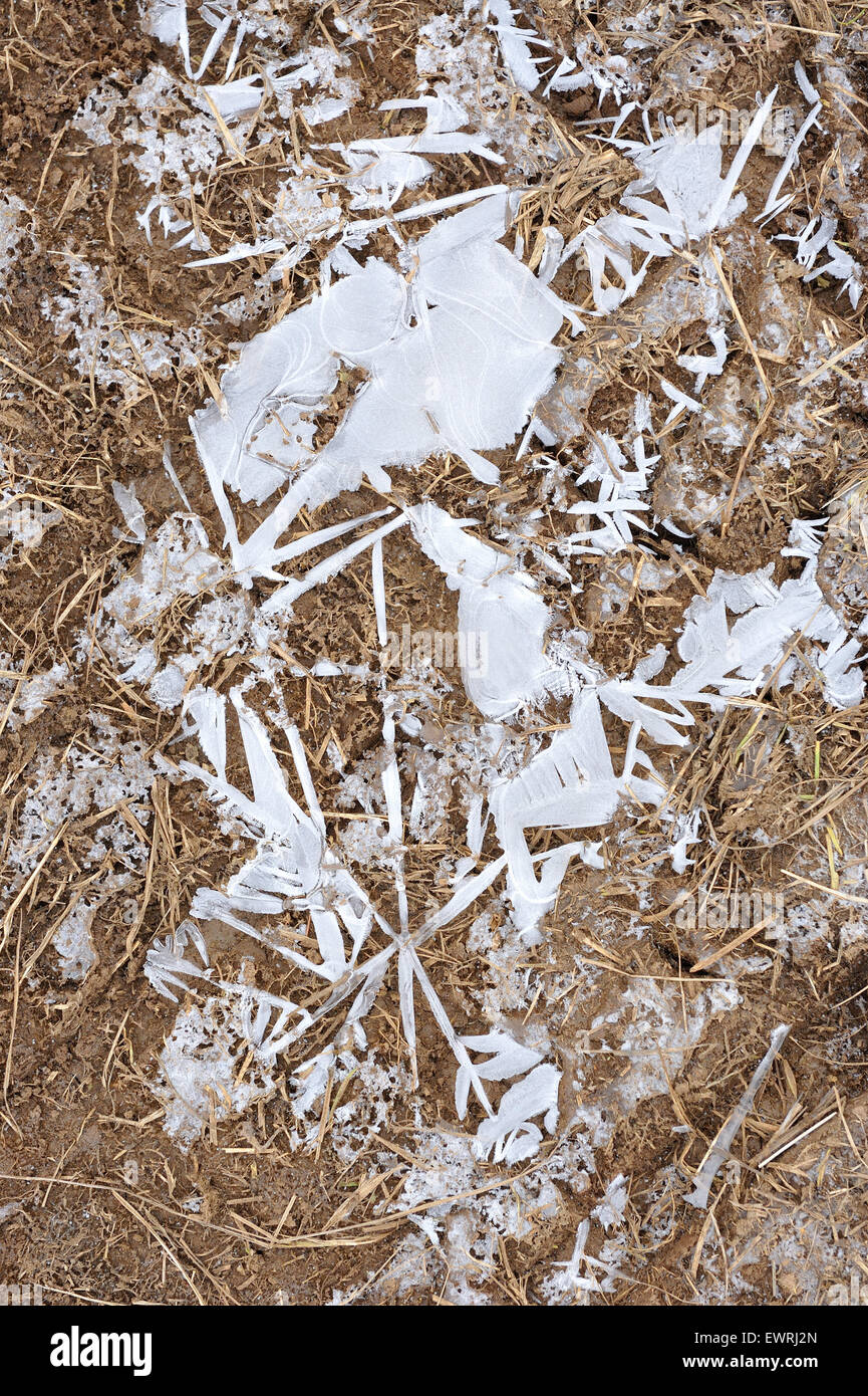 Frozen ground close up. Background Stock Photo Alamy