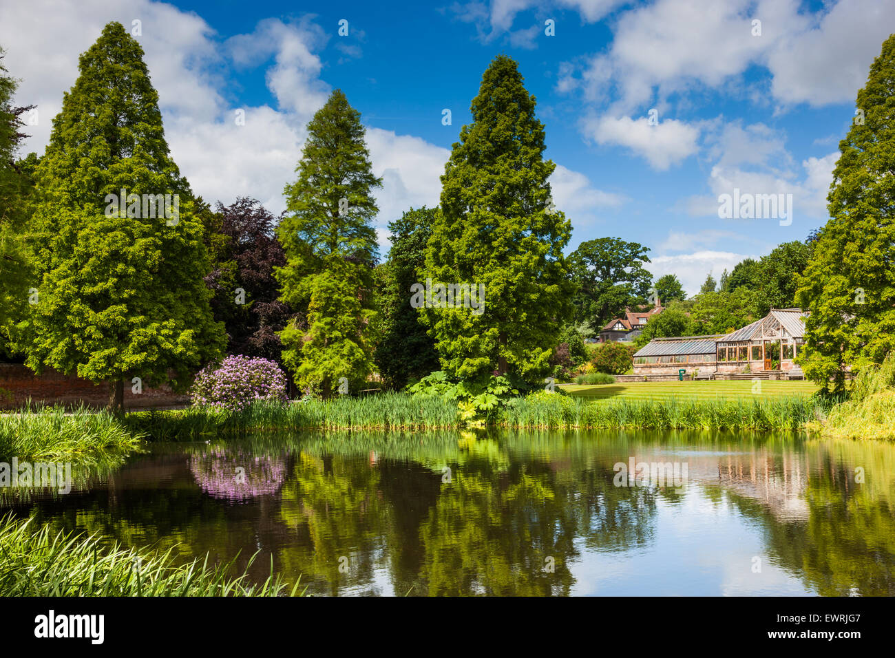 Church Pool and the Conservatory at Weston Park, Weston under Lizard