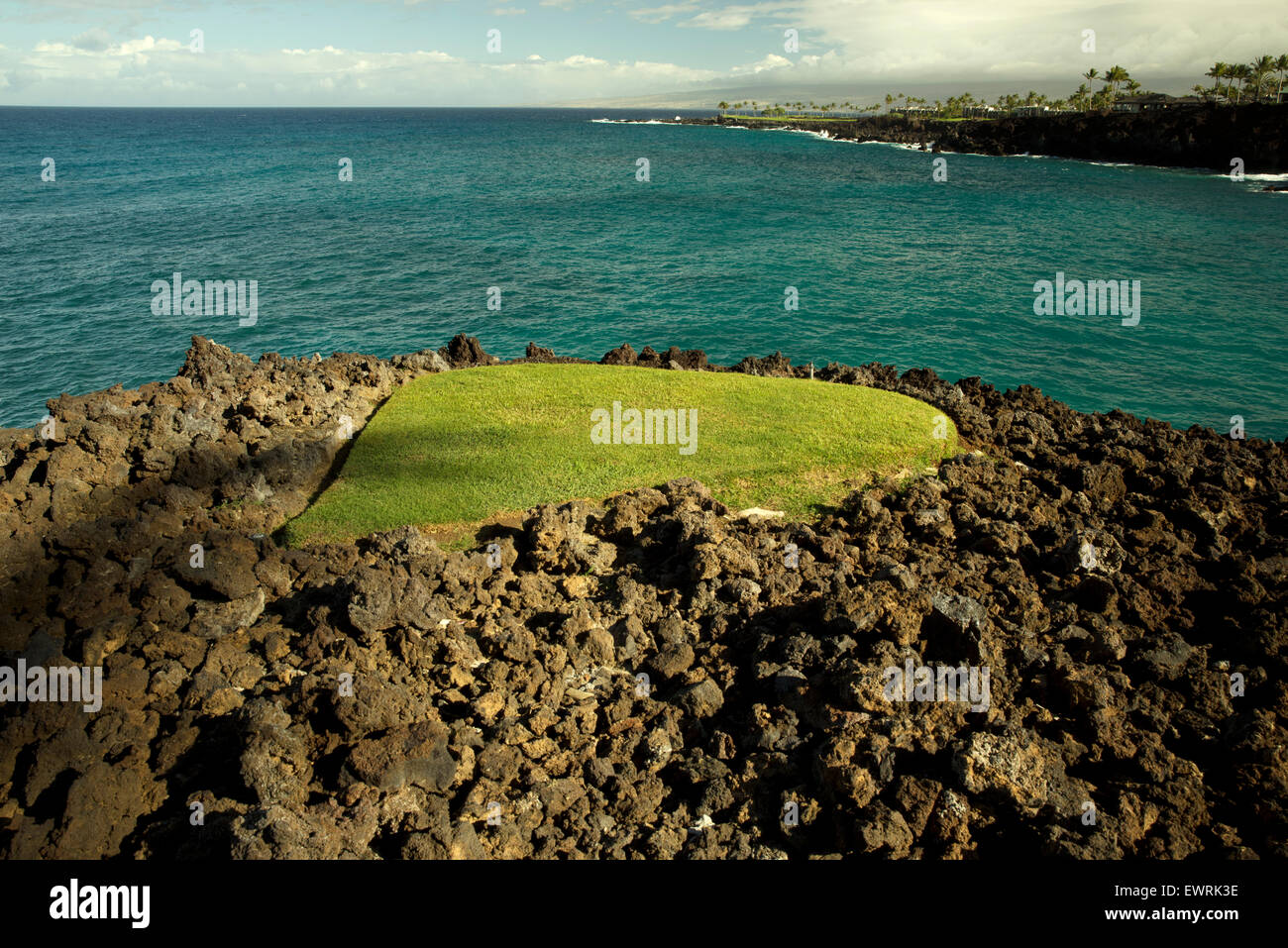 Small patch of lawn in lava rock. Hawaii, The Big Island. Stock Photo