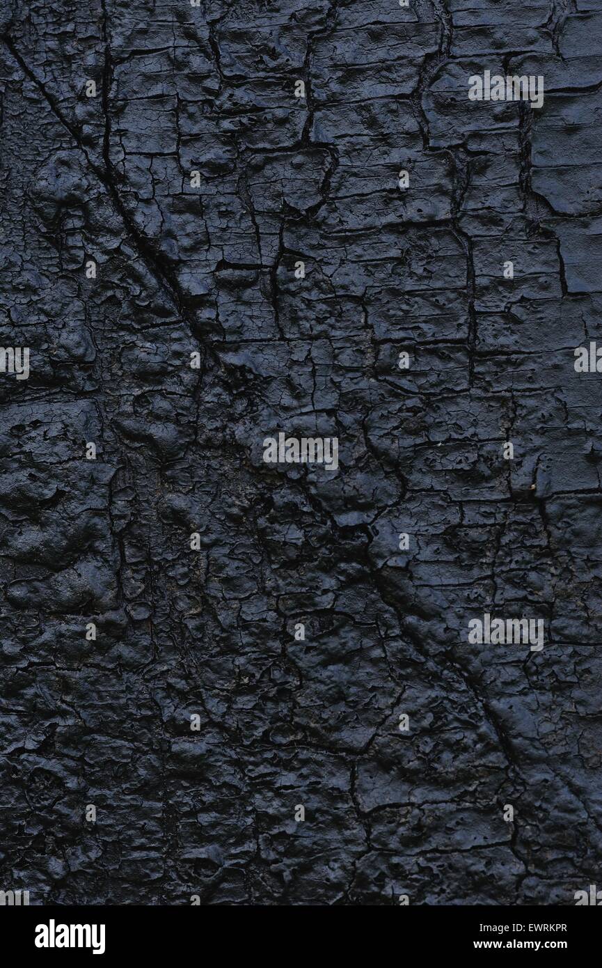 wooden texture, coated with black resin Stock Photo - Alamy