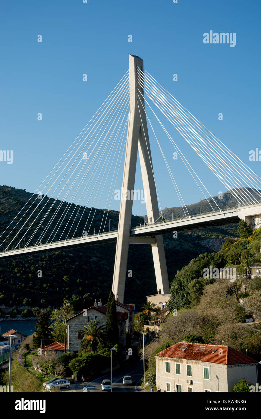 main pylon and cables, Franjo Tudman Bridge, Cablestayed, suspension