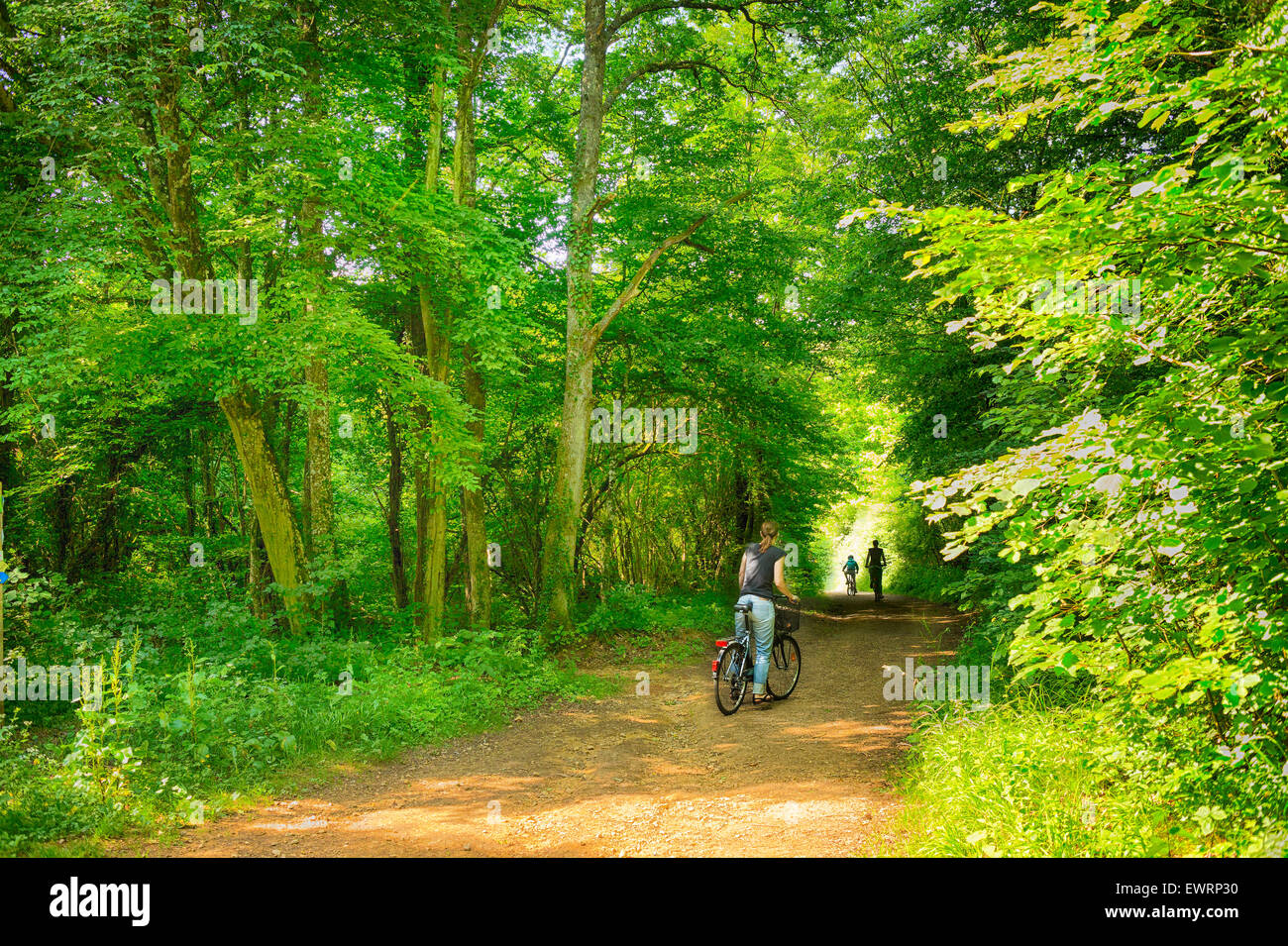 Woman on bike looking curiously around the next corner of a Luxemburgish forest road. Stock Photo