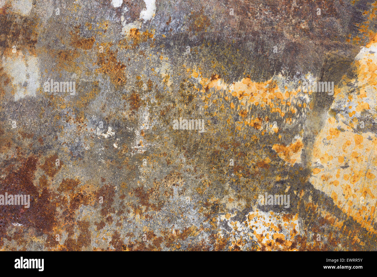 Putty knife hires stock photography and images Alamy