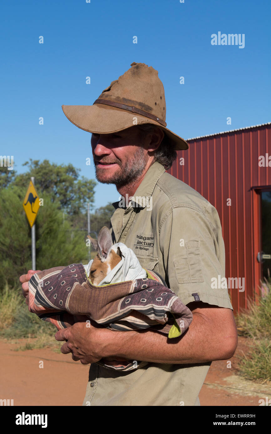 Australia, NT, Alice Springs. The Kangaroo Sanctuary, 90 acre wildlife reserve that cares for rescued kangaroos. Founder, Brolga Stock Photo