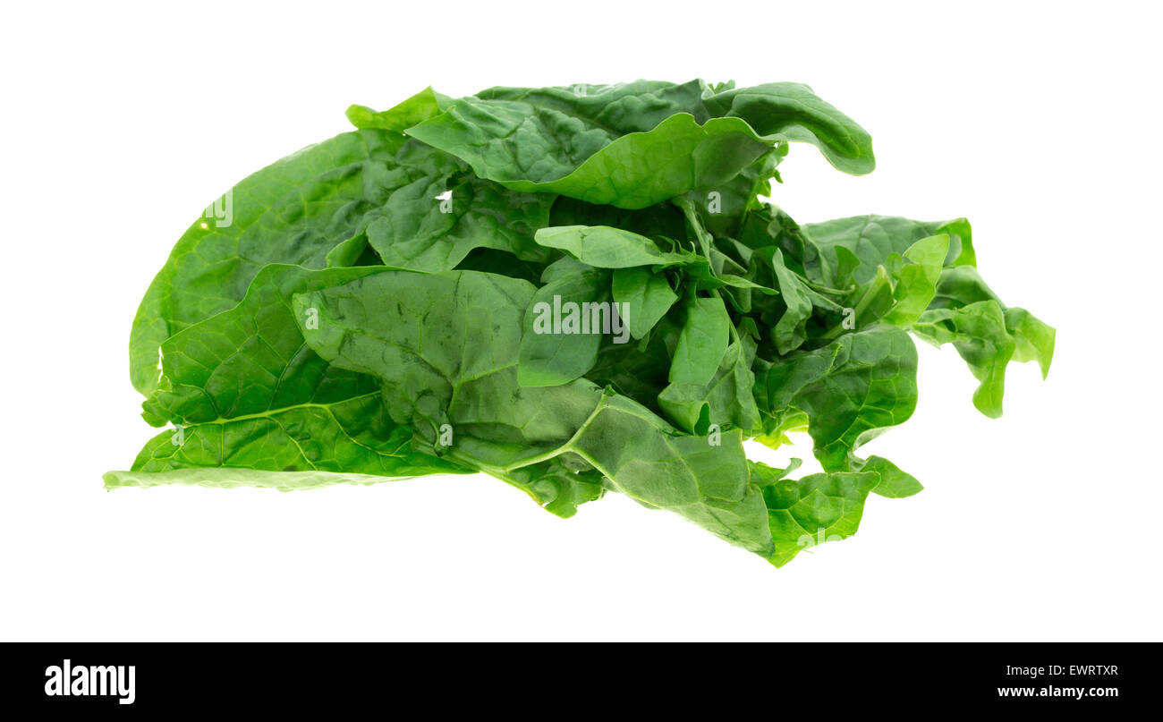 Several leaves of raw spinach isolated on a white background Stock ...