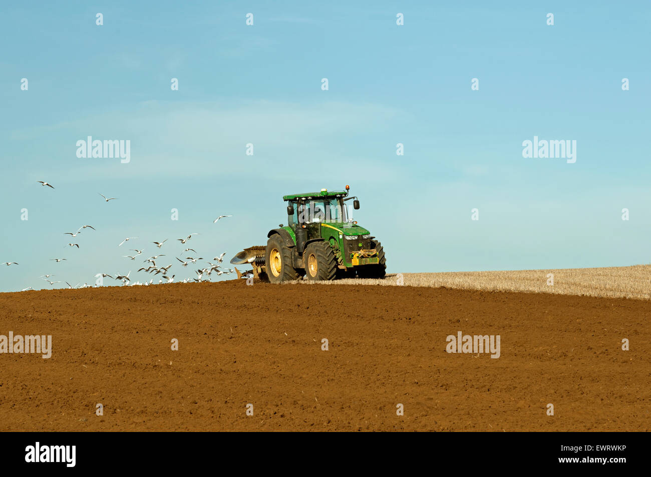John Deere 8360R ploughing field, Shottisham, Suffolk, UK. Stock Photo