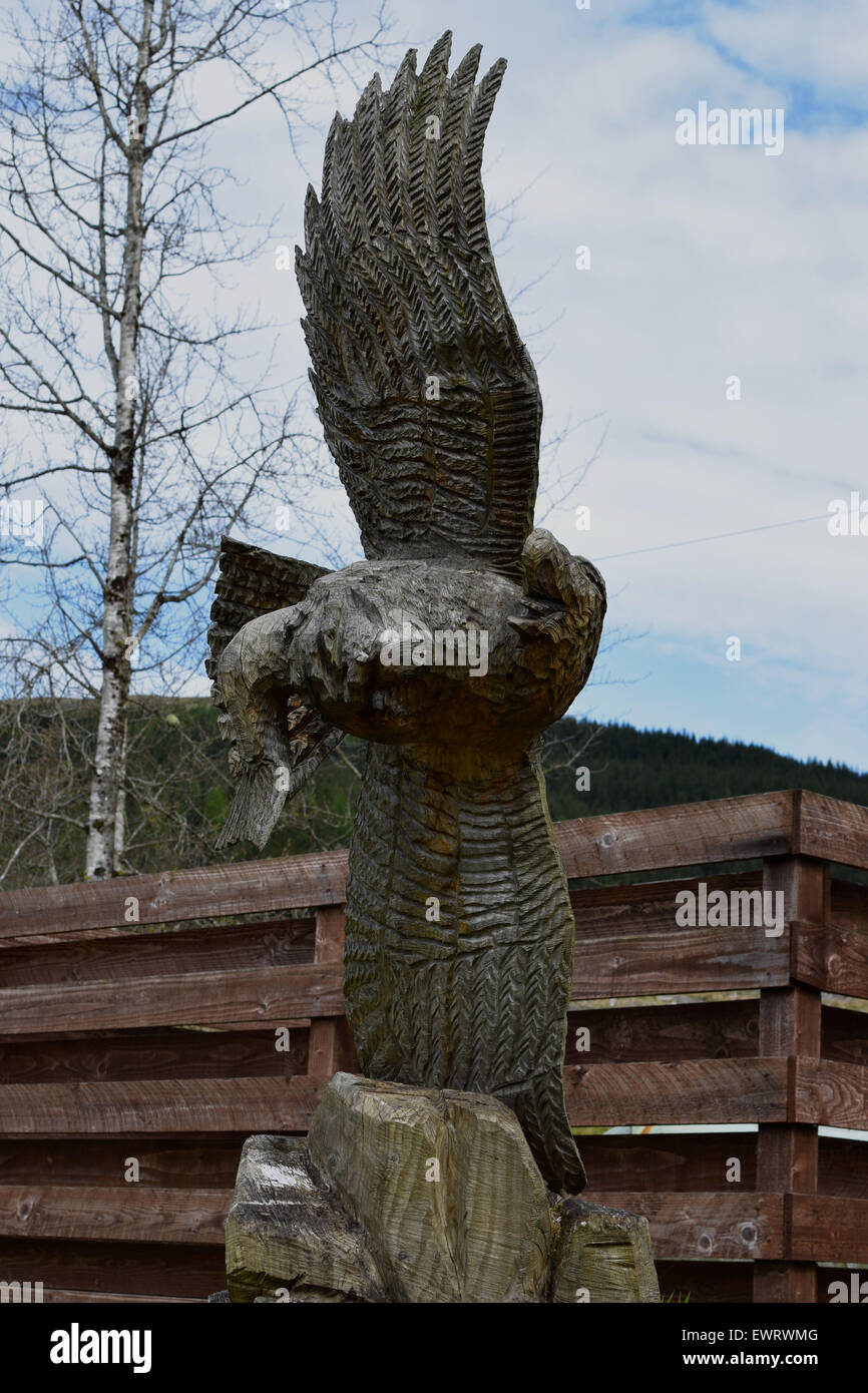 Carved wooden sculpture of a Sea Eagle, in a garden in Tyndrum, Scottish Highlands. Stock Photo