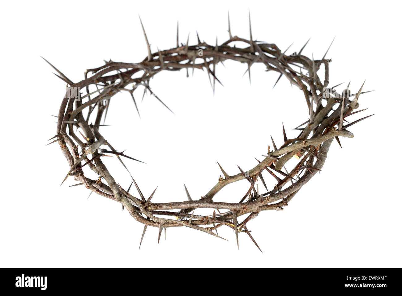 Crown Of Thorns Images – Browse 163,520 Stock Photos, Vectors, and