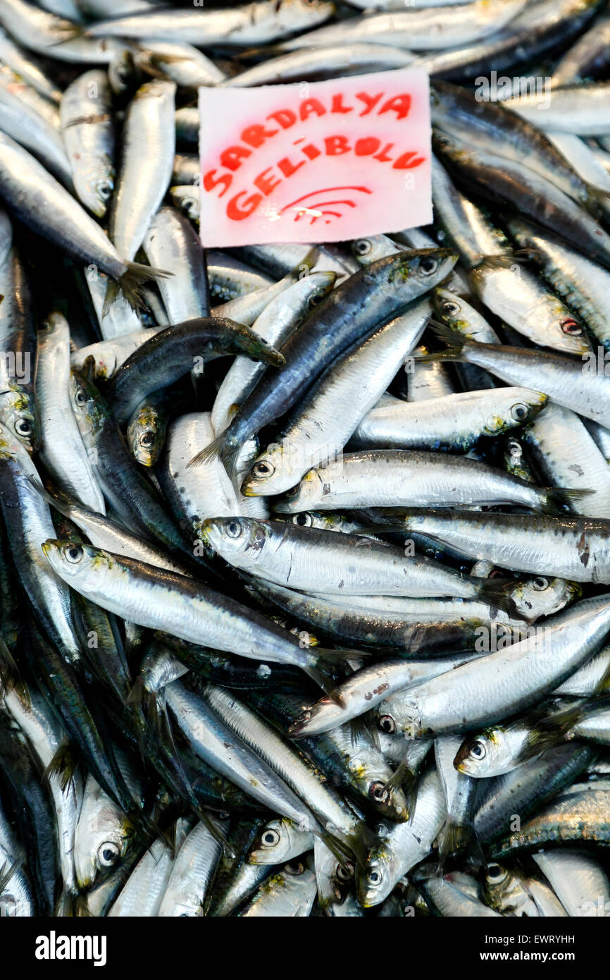Sardines, fish market, Sariyer, near Istanbul, Turkey Stock Photo