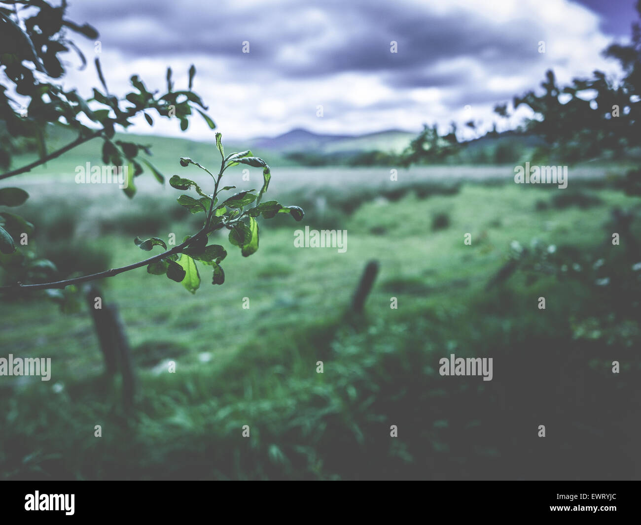 A Rural Scene With A Dramatic Stormy Sky Stock Photo - Alamy