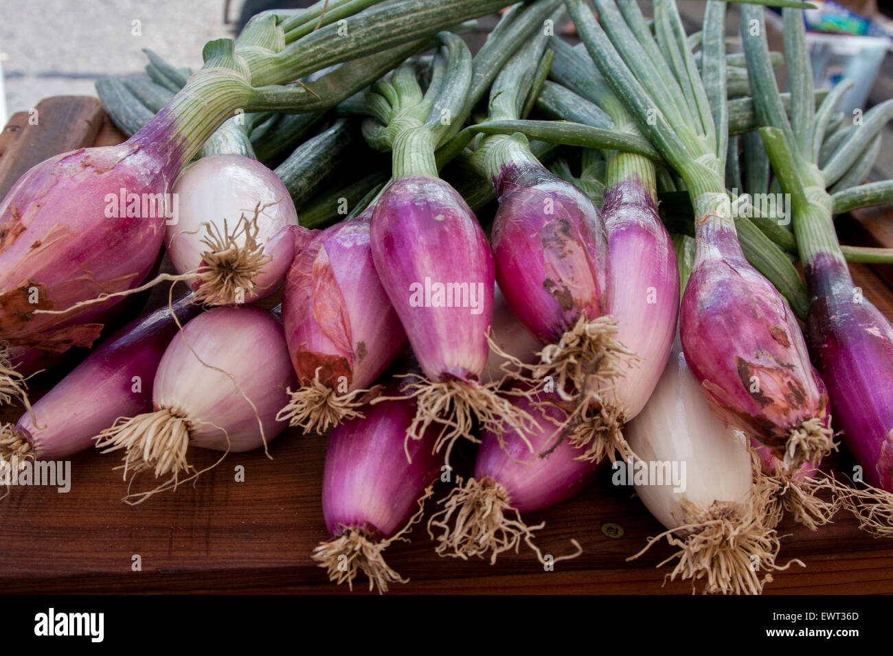 Red Torpedo Onions at the Berkeley Farmers' Market in Berkeley, California. Stock Photo