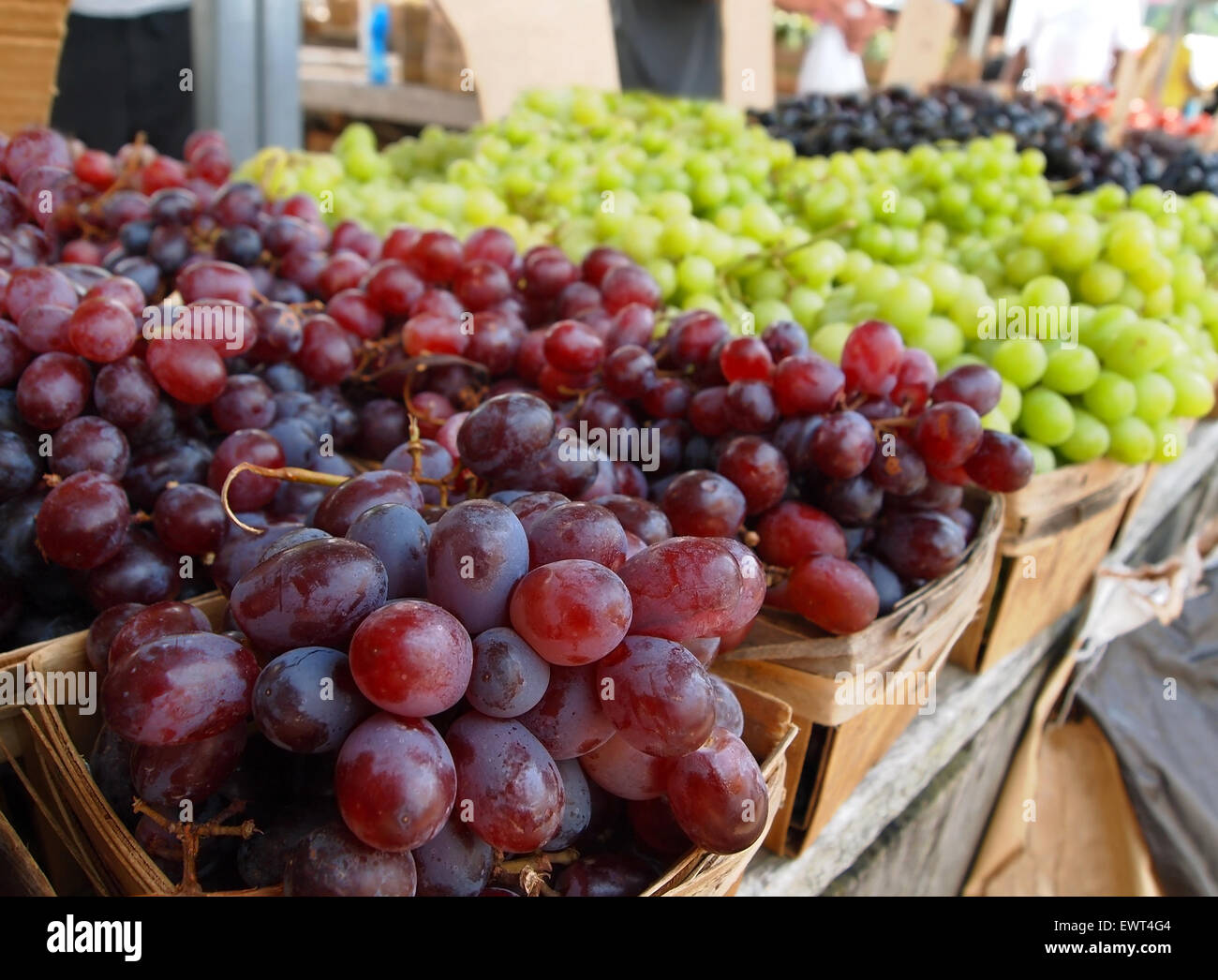 Red and green local grapes for sale a roadside country farmer's market. Stock Photo