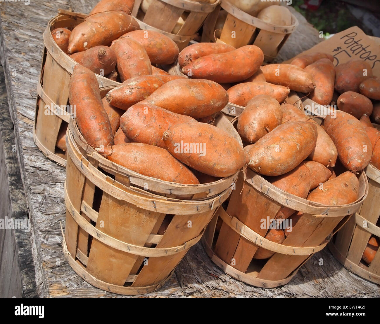 Bushels of vibrant orange colored sweet Potatoes for sale at a local farmer's market. Stock Photo