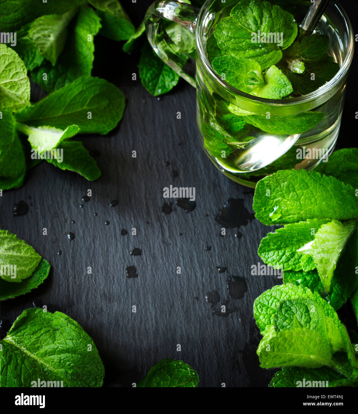 Mint tea and mint leaves over black background with lot of copy space Stock Photo