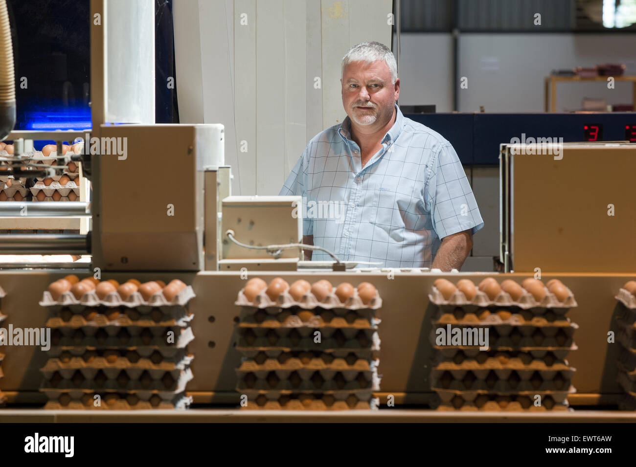 South Africa - Egg farmer in packing line Stock Photo