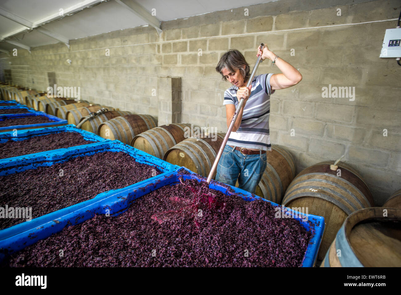 Punching grapes hires stock photography and images Alamy