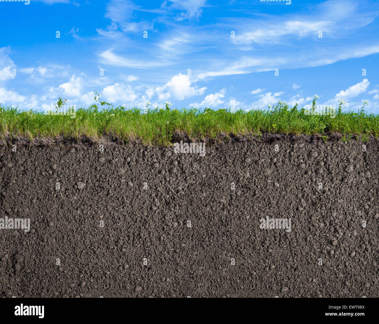 Soil, grass and sky nature background Stock Photo