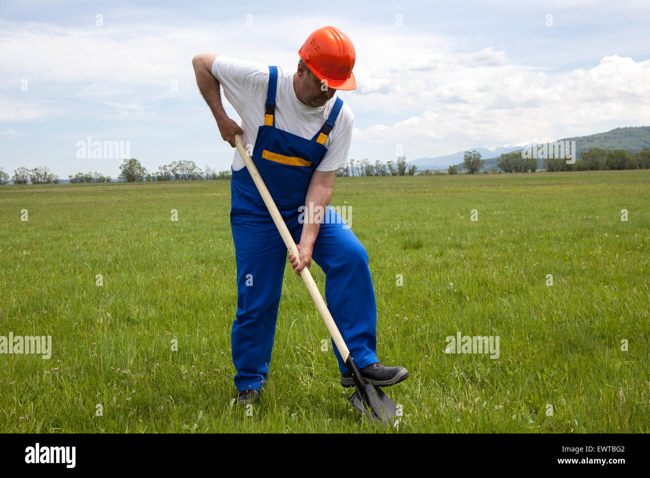 Man in work clothes and hardhat, is digging with a shovel, in a green lawn. This is a sunny day in the summer. The worker is in Stock Photo