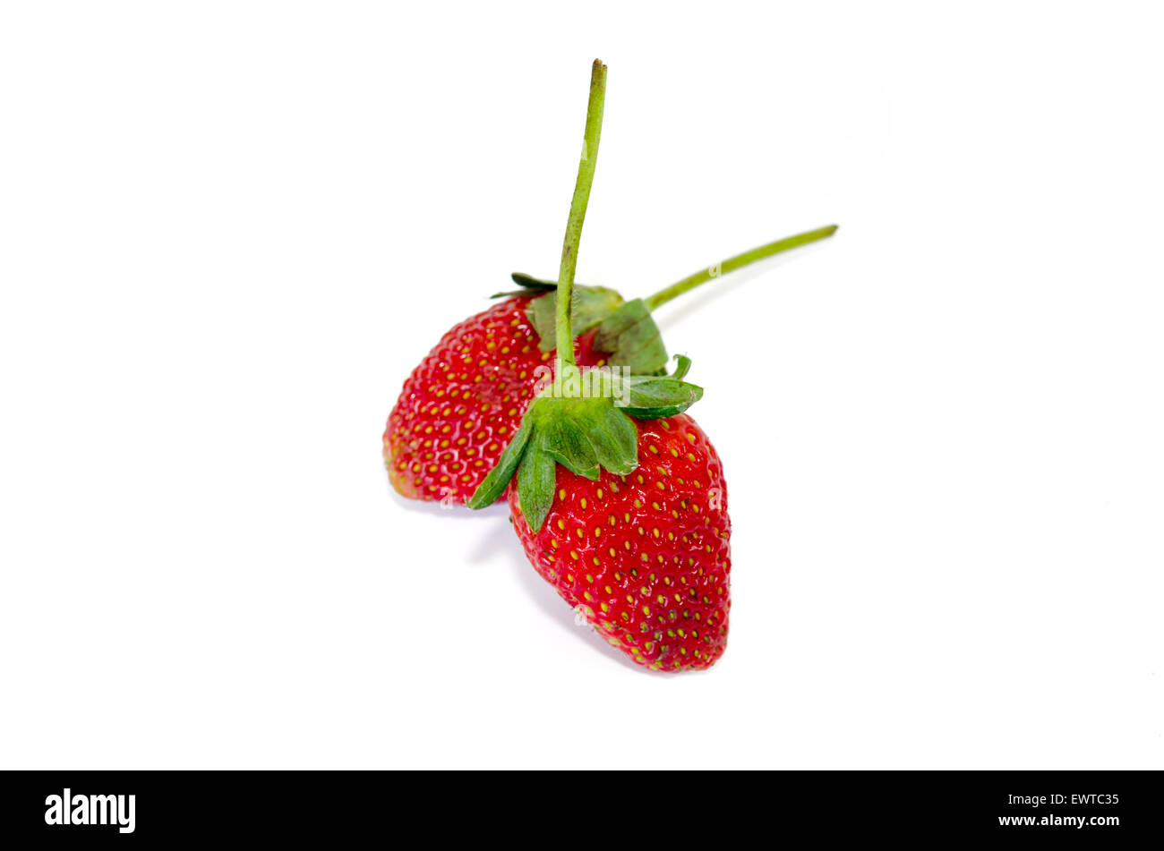 strawberry with isolated on white background Stock Photo - Alamy