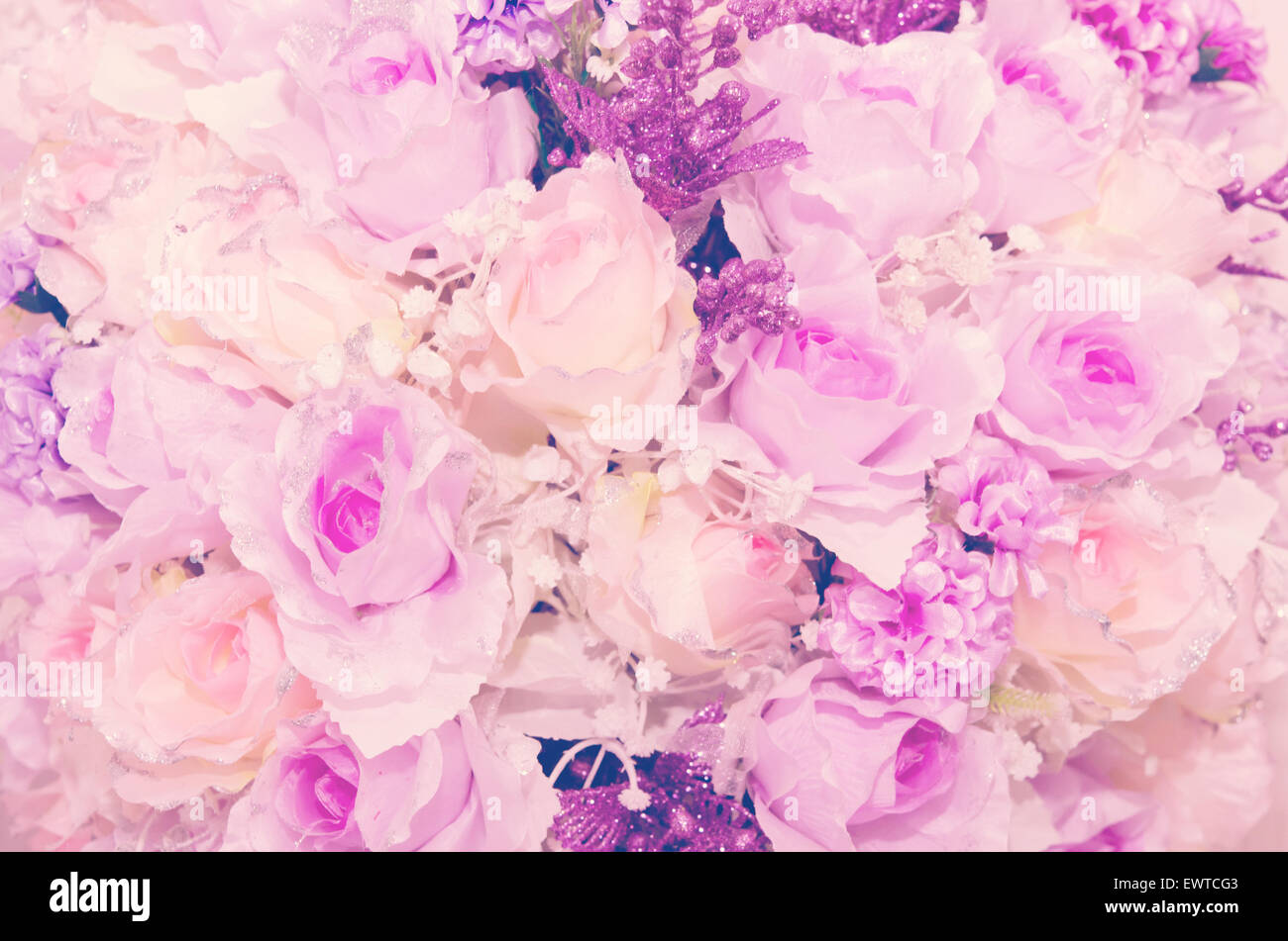 Bright pink roses background Stock Photo Alamy