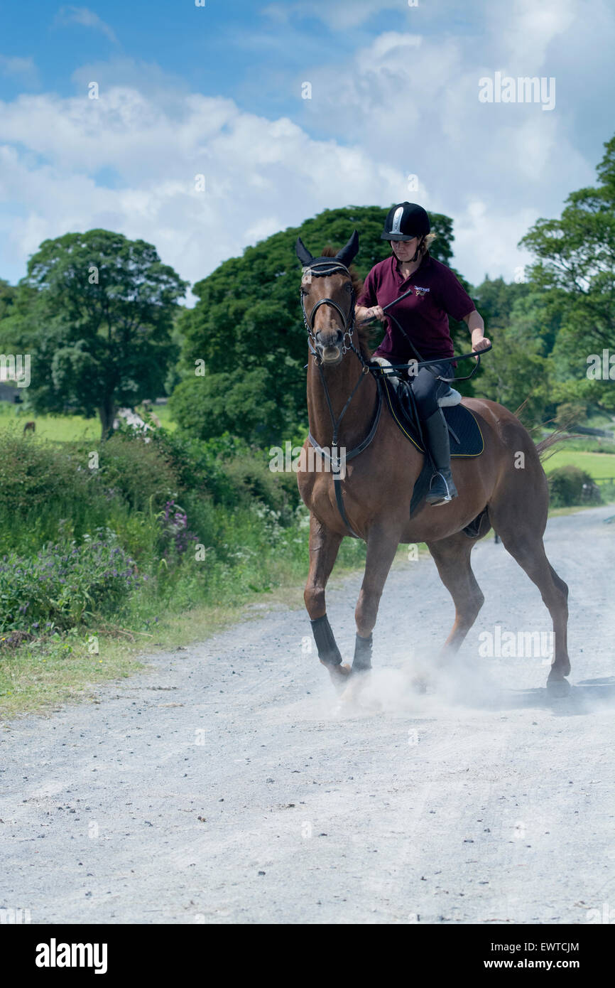 Horse rider trying to bring a lively horse under control, Yorkshire, UK. Stock Photo
