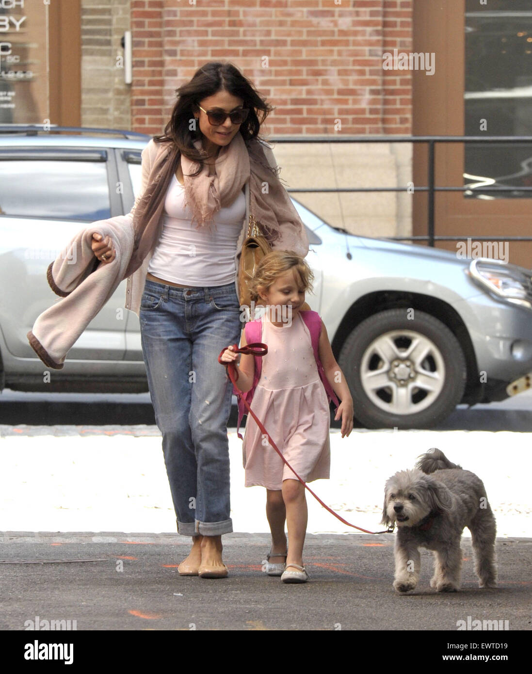 bethenny frankel dog bethenny frankel dog
